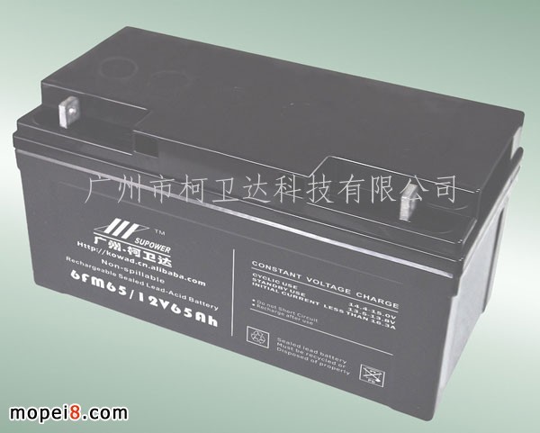 12V65AhܷU늳VRLA BATTERY