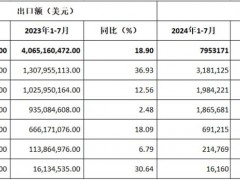 2024年前七月：中國(guó)摩托車(chē)出口漲勢(shì)穩(wěn)定，拉丁美洲成最大增長(zhǎng)點(diǎn)